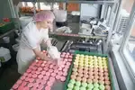 Пирожные макаронс бывают разных цветов с начинкой на основе бельгийского шоколада и натуральных сливок.