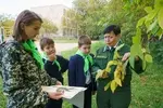 Не запутаться в многообразии деревьев ребятам помогают руководитель Вичугского лесничества Елена Роговенко и советский гербарий