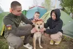 Восточно-сибирская лайка «Чарли» поддерживает боевой дух команды «Спартанец» из города Комсомольска.