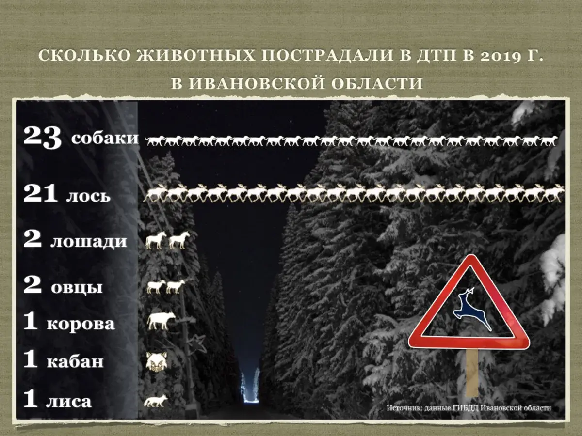 В ДТП чаще всего попадают лоси и собаки. Инфографика