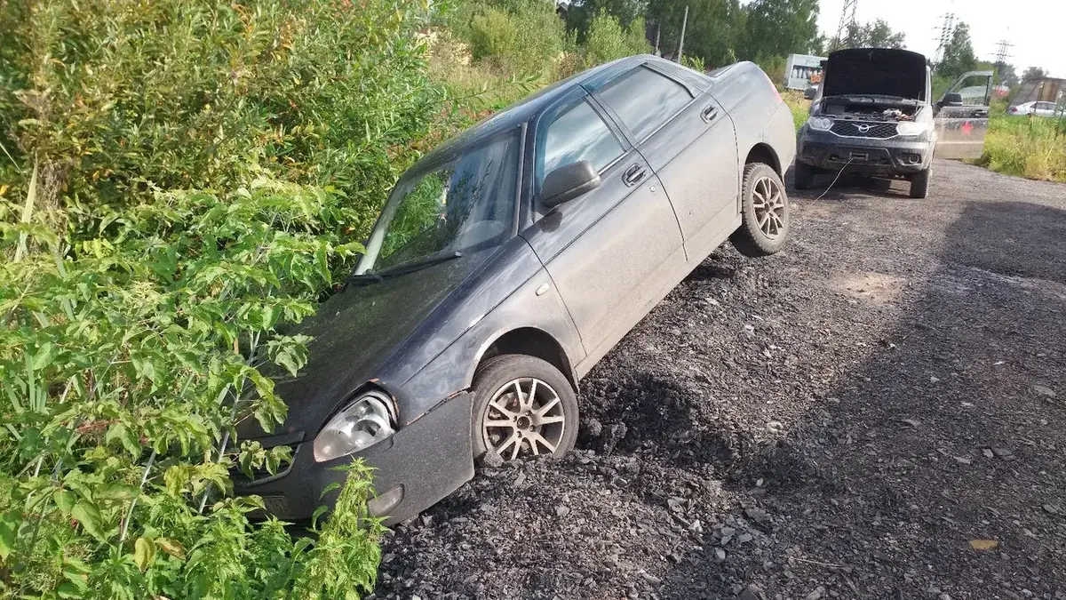 В области возрождается волонтерское движение 