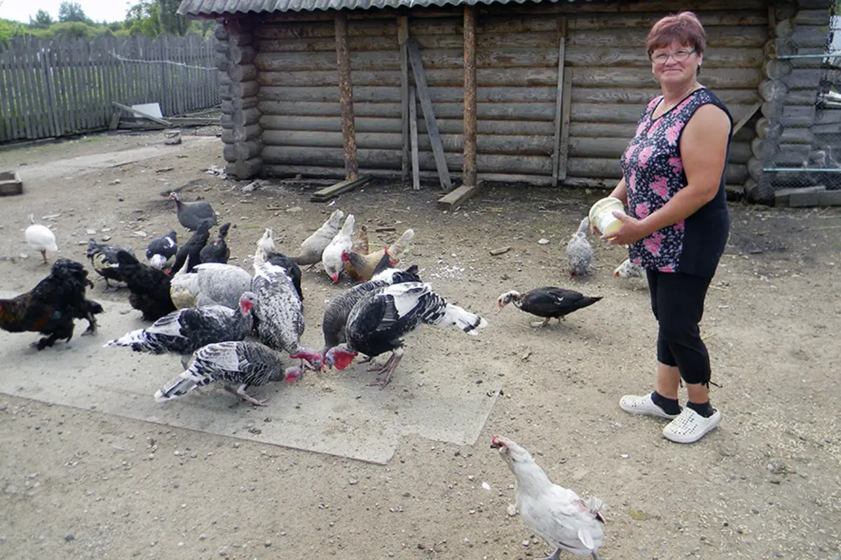 Бывшие тракторист и хоккеистка в Родниковском районе развели агрозоопарк