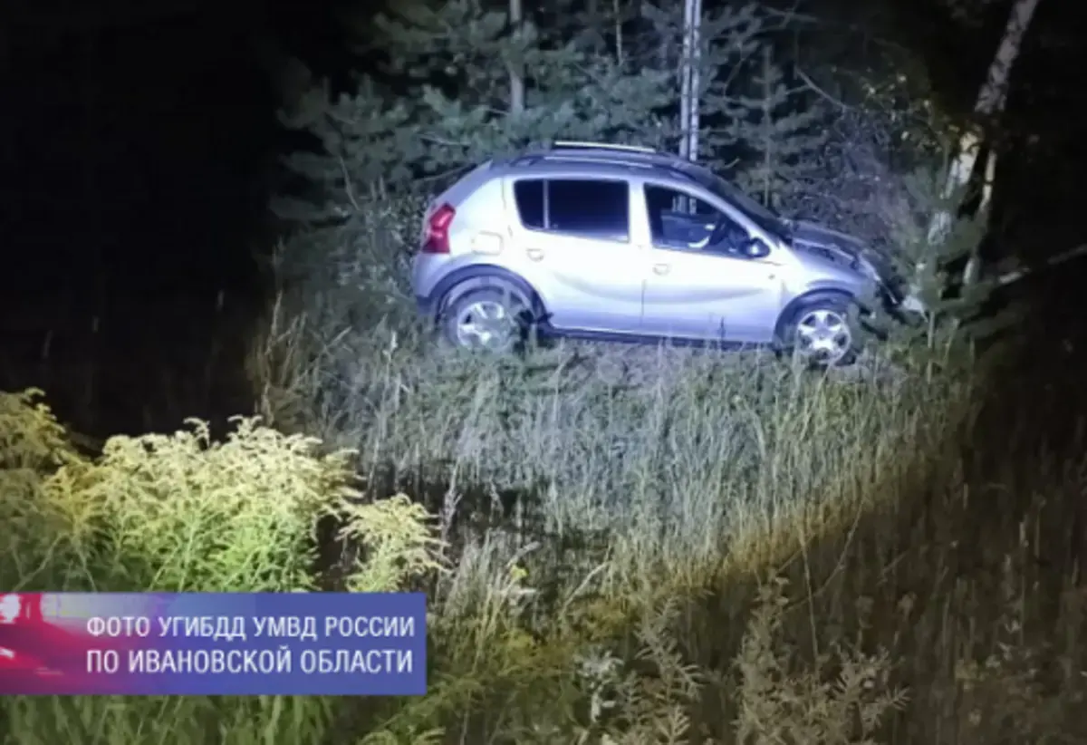 В Ивановской области женщина на иномарке врезалась в стадо кабанов и попала  в больницу