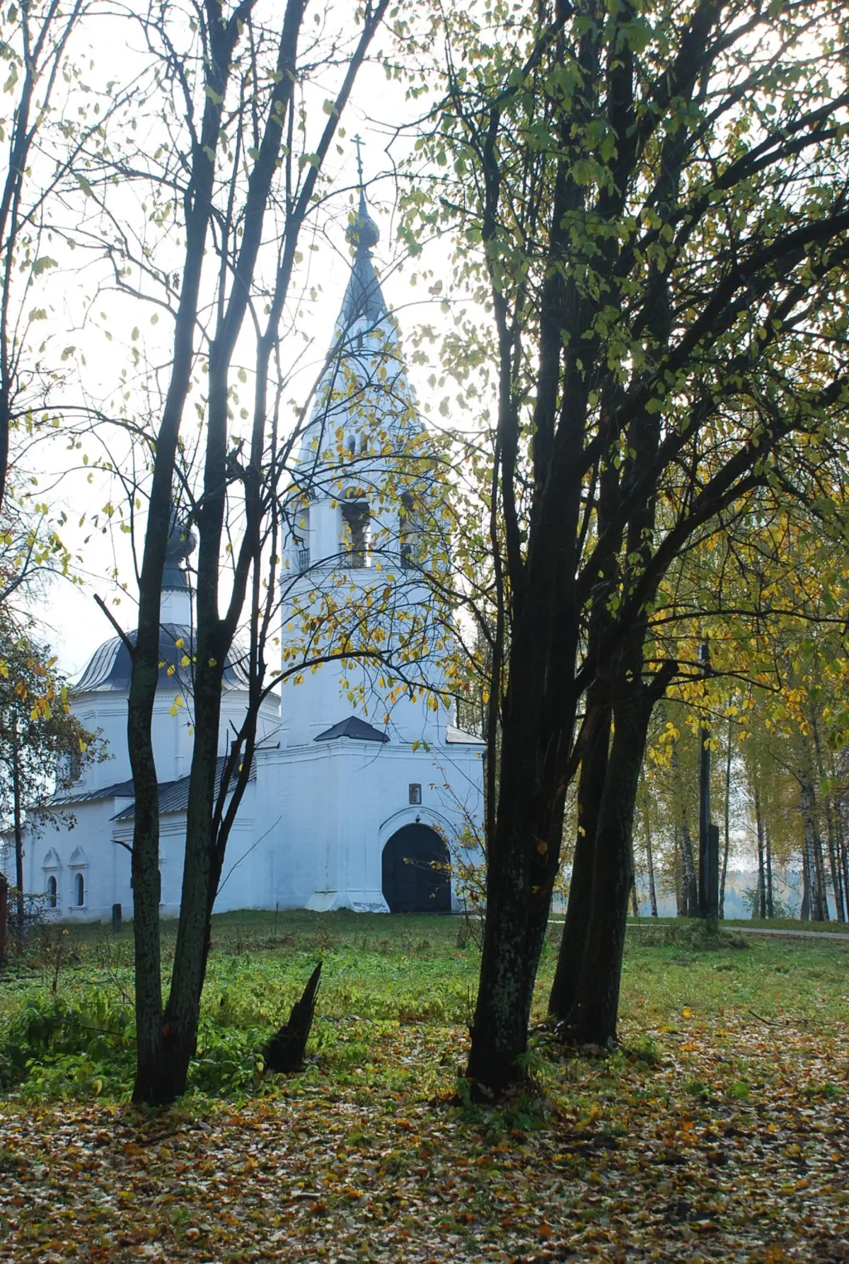 Плес возглавил список городов России, где лучше всего устроить свидание с  золотой осенью