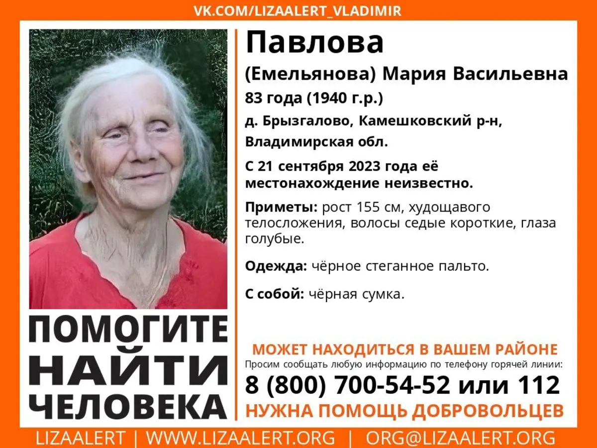 Волонтеры ищут в нашем регионе 83-летнюю хрупкую бабушку из Владимирской  области