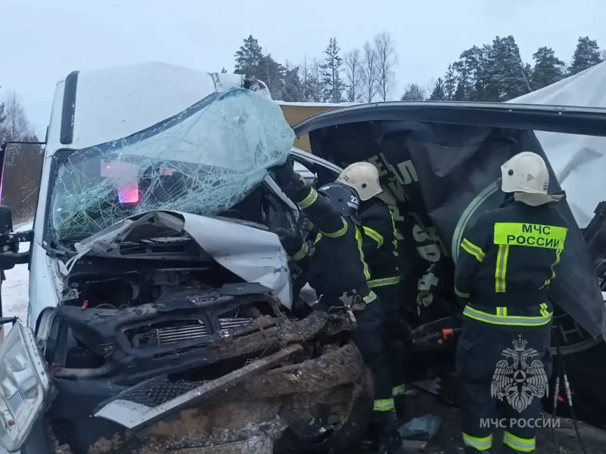 В Палехском районе столкнулись микроавтобус, 