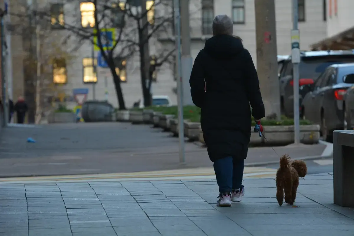 HeadHunter: "Как работать, если за окном темно и холодно" 