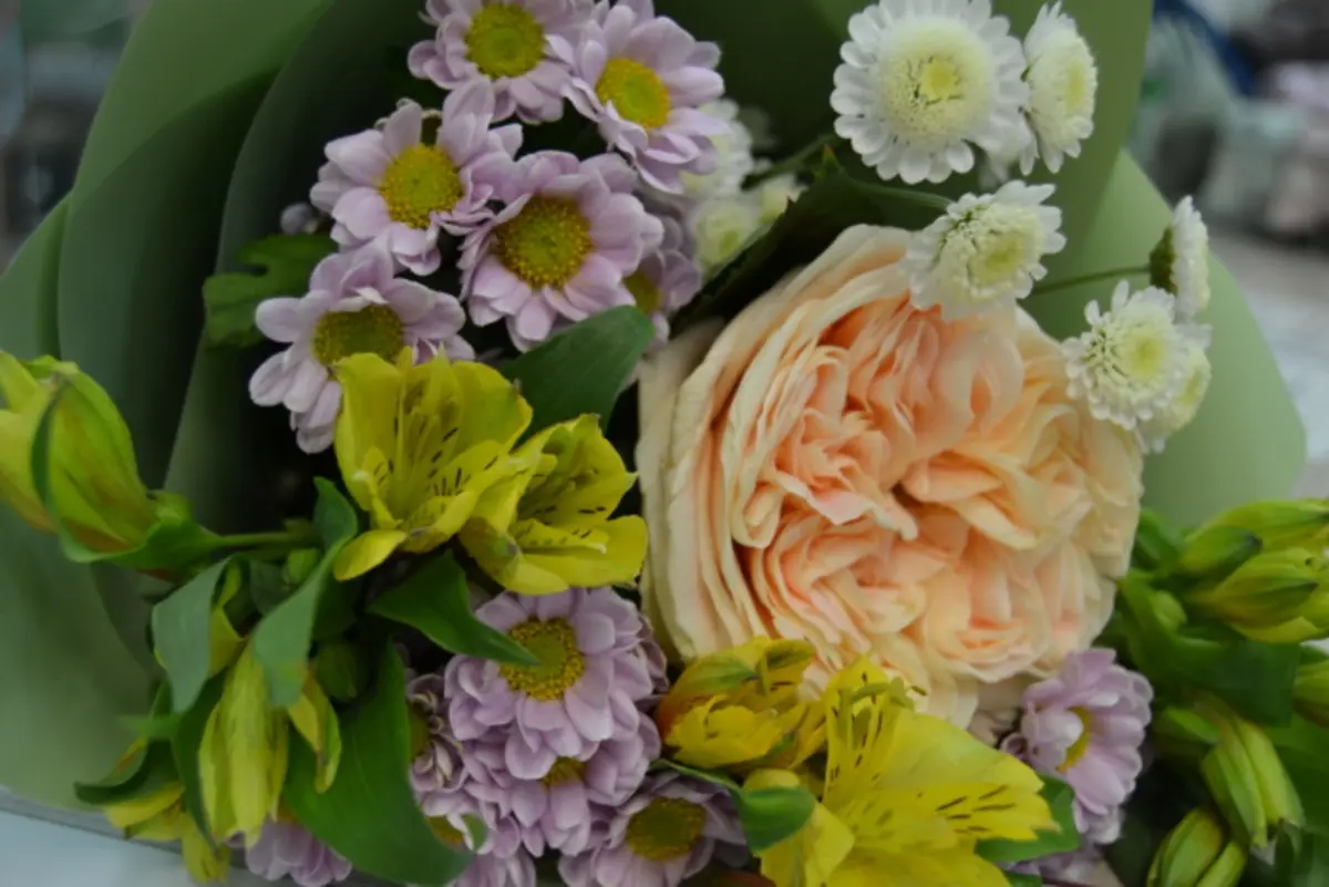 Газета журнал павел зинган где купить. Е в профессиональные решения. Е в профессиональные решения. Кгбоу бийский государственный колледж. Е в профессиональные решения.