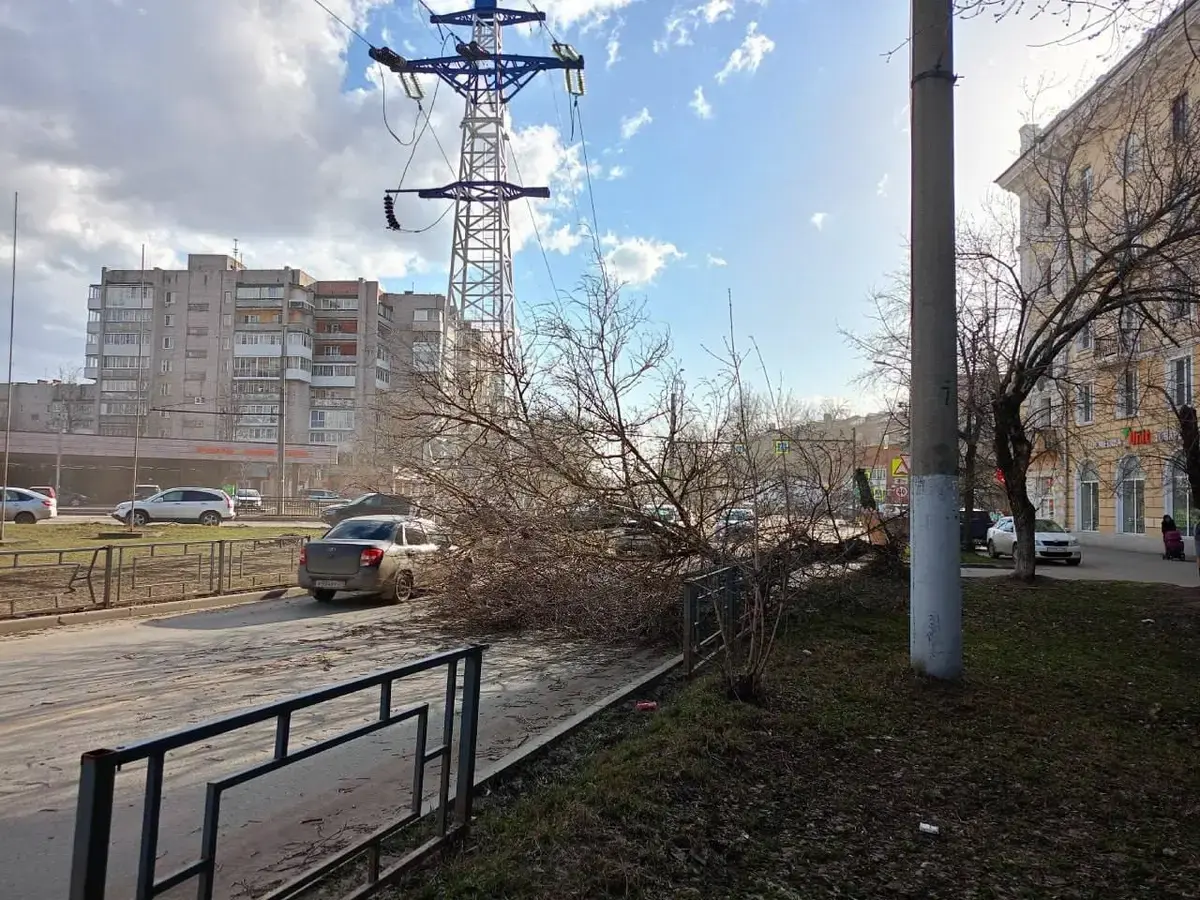 В Иванове упавшие от ветра дерево перегородило движение, и еще одно –  повредило автомобиль