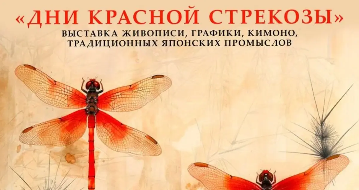 В Палехе - фестиваль японской культуры "Дни Красной Стрекозы" (6+)