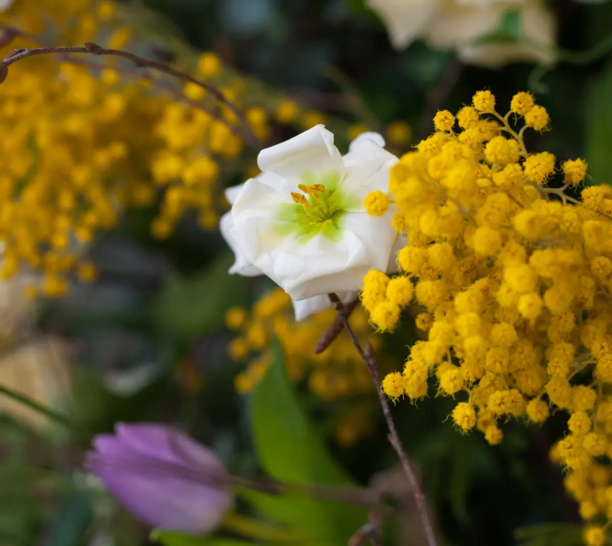 Юрист Южалин рассказал, как ивановцы работают и отдыхают в марте 2026   