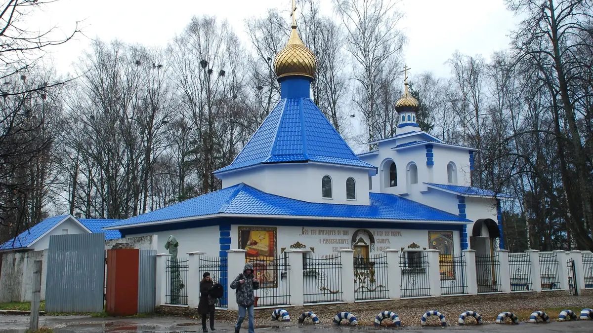 Вербное воскресенье-2026: история, традиции, запреты и советы священника