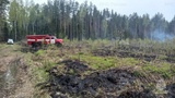 Лесной пожар тушили накануне в Ивановской области