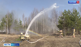 В Южском районе ликвидировали лесной пожар