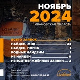 За ноябрь волонтеры “ЛизаАлерт” нашли 24 человека, пропавших в Ивановской области