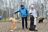 Площадка для выгула собак в Кинешме стала луч-шим проектом "Местных инициатив"