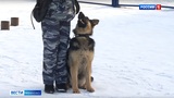 В Ивановской области стартовала традиционная акция МВД "Студенческий десант"