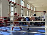 В Иванове прошел фестиваль кикбоксинга