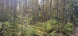 В Ивановской области возбуждено 3 уголовных дела по факту контрабанды стратегически важных ресурсов