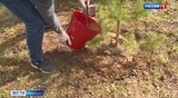 Ивановская область присоединилась к международной акции "Сад Памяти"