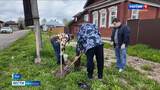 В Лухе активисты и местные жители решили озеленить территории
