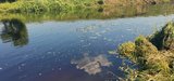 Полицейские задержали браконьера в Пучежском районе