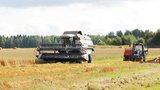 Для модернизации сельхозпроизводства совершенствуют меры господдержки АПК в Ивановской области 