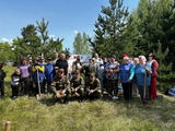 Деревья и кустарники высадила в Южском районе молдаване из Ивановской области
