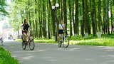 В Шуе продолжится преображение набережной Тезы по федеральным программам