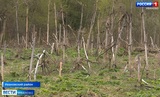 Собственник земли заплатит штраф за зарастание сельхозугодий в Ивановской области