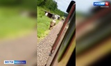 Пассажирский поезд столкнулся с грузовиком в Ивановской области