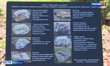 В 53-й ивановской школе появился цветущий сад камней