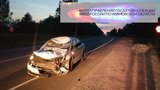 Водитель иномарки сбил лося на трассе в Ивановской области
