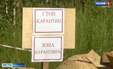 Межрегиональные учения по ликвидации очага ящура прошли в Ивановской области