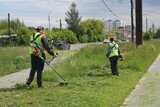 В Иванове ежедневно выкашивают 60 тысяч квадратных метров газонов