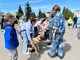 "Один день с полицией" прошел в Родниках