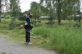В Кинешме приводят в порядок газоны на городских территориях