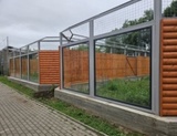Белые волки скоро отметят новоселье в Ивановском зоопарке
