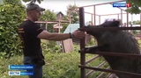 Депутат Государственной Думы посетил Центр реабилитации диких животных в Ивановской области