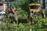 Последствия разгула стихии продолжают ликвидировать в Иванове