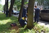 Стартовала вторая смена в летних трудовых отрядах Иванова