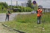 За три недели в Иванове выкошено свыше полумиллиона квадратных метров травы