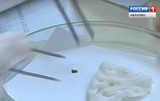 Почти 1700 жителей Ивановской области пострадали от клещей