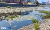 Жители Иванова жалуются на заросшую Уводь в центре города
