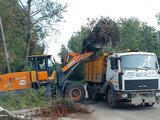Почти 1000 кубометров веток вывезли с улиц Иванова после стихии
