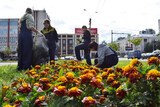 Подростковые трудовые отряды помогают благоустраивать Иваново