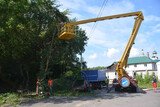 Аварийные деревья начали сносить в Иванове