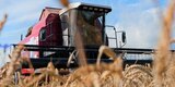 За первое полугодие в Ивановской области выросло производство продукции агропромышленного комплекса