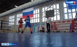 Открытые тренировки по боксу проходят в Иванове до конца лета
