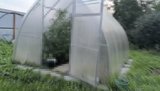 Житель Кохмы выращивал коноплю в огородной теплице